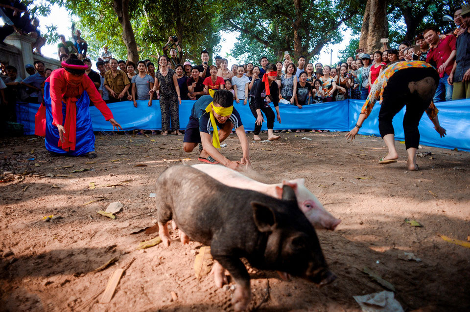Thi nấu cơm, bắt lợn vui nhộn giữa thủ đô